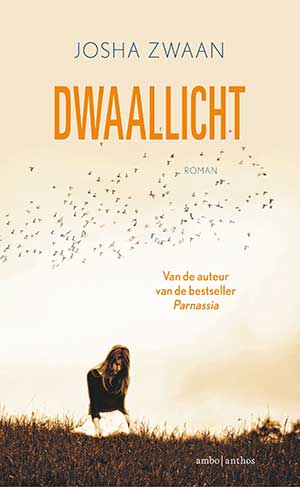 Dwaallicht