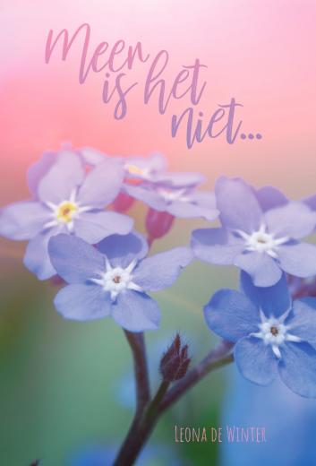 Meer is het niet…