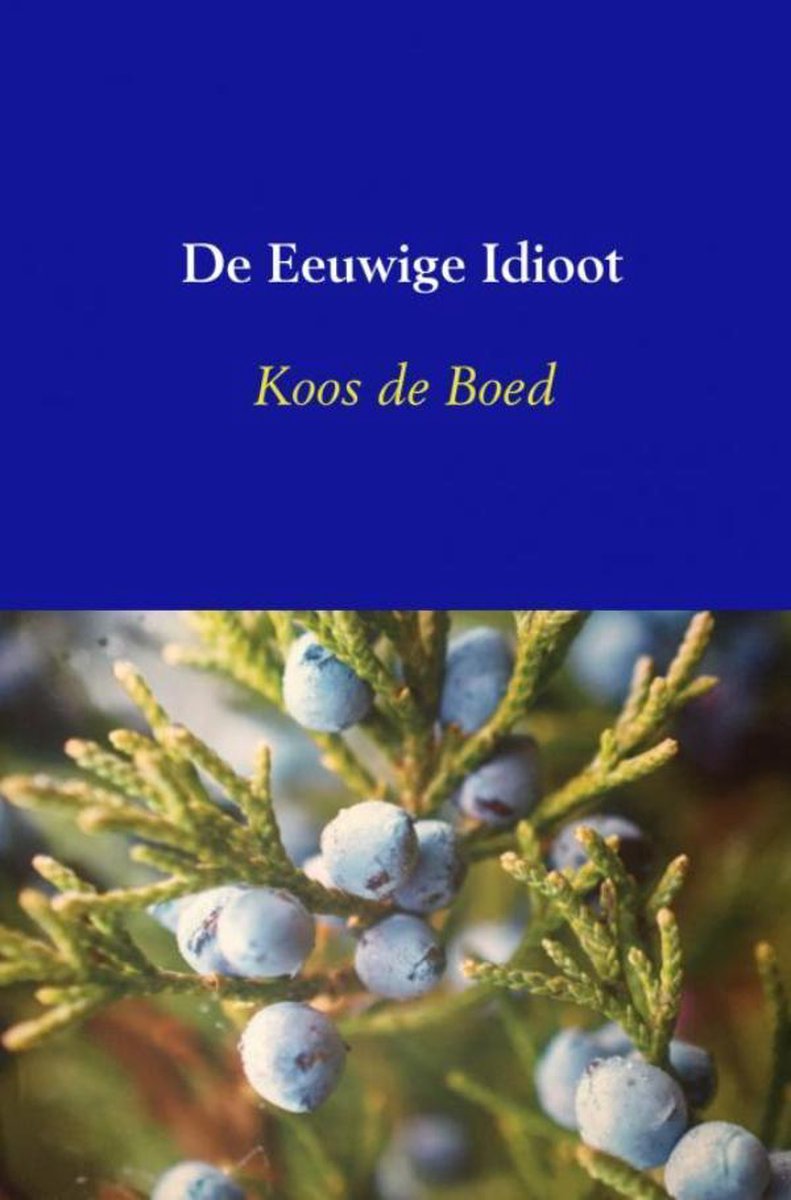 Boek_KdeBoed