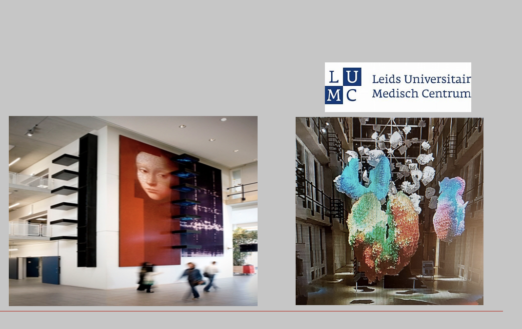 Onderzoek onder patienten, naasten en bezoekers over hun beleving en betekenis van schilderijen, beelden, tekeningen en foto’s in het ziekenhuis LUMC.