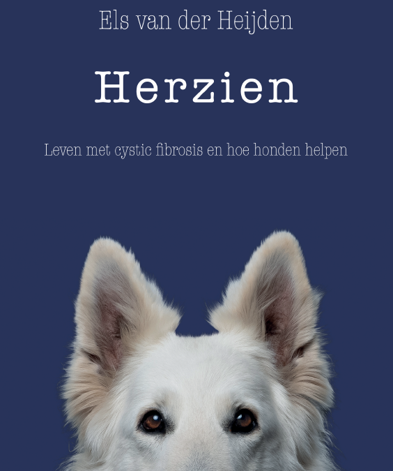 Herzien