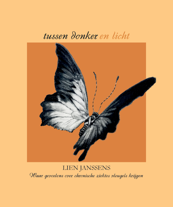 Tussen donker en licht